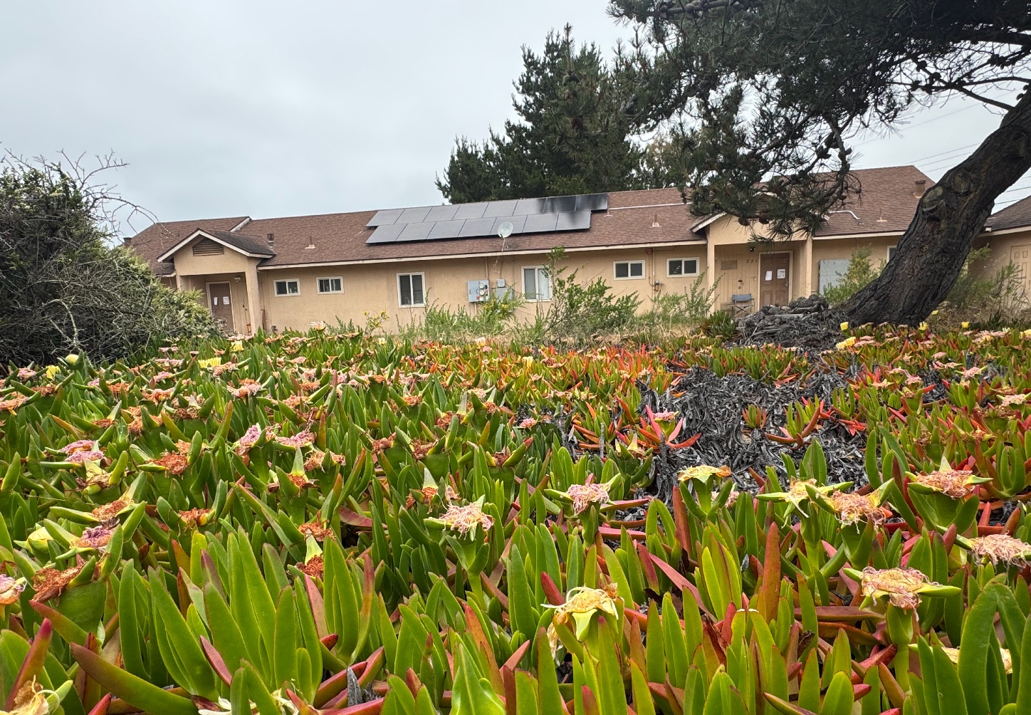 Veterans Transition Center Images